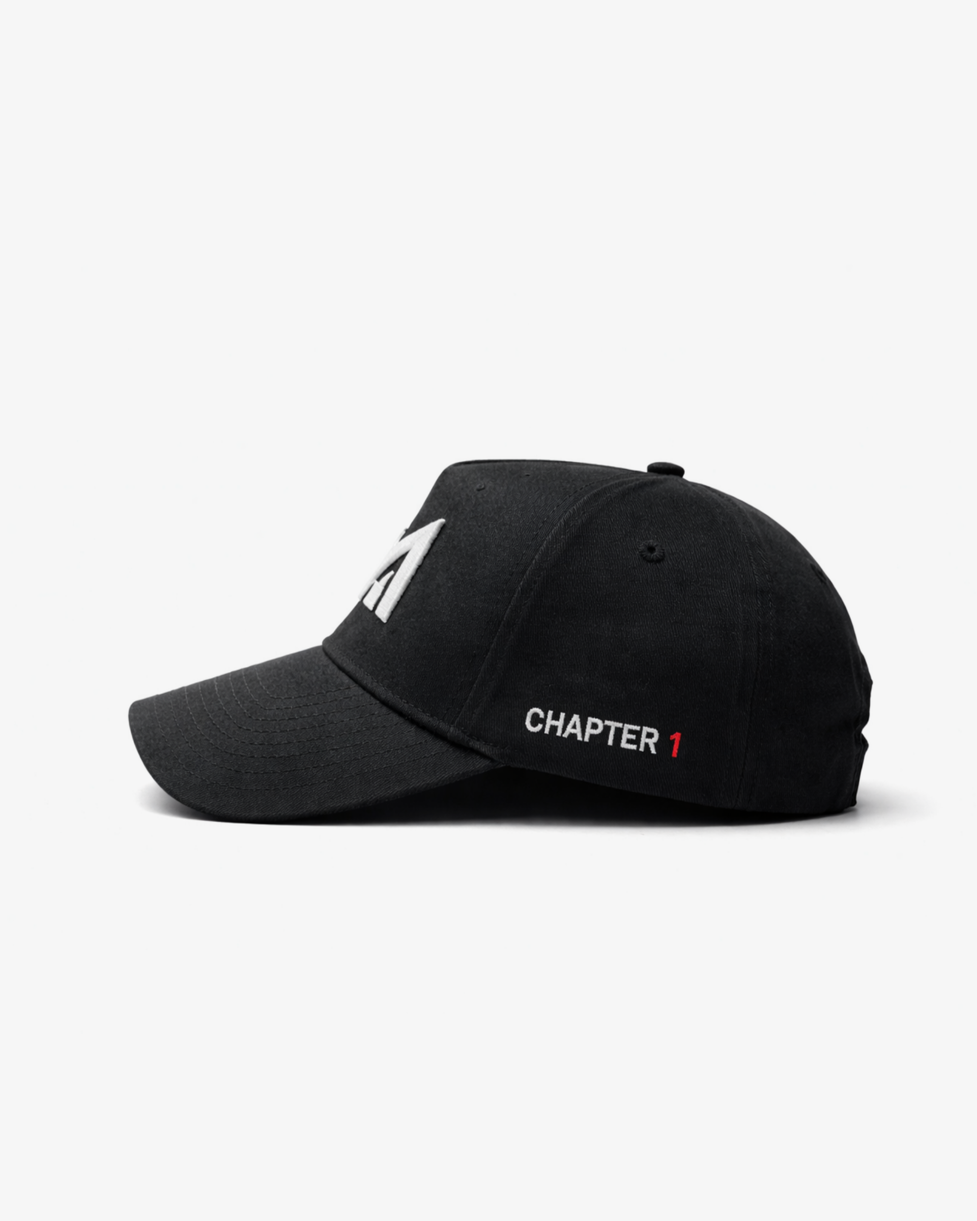 Chapter 1 Cap.