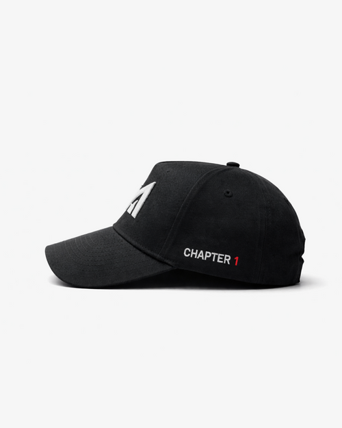 Chapter 1 Cap.
